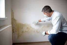 Best Black Mold Removal  in Atlantic Beach, NY